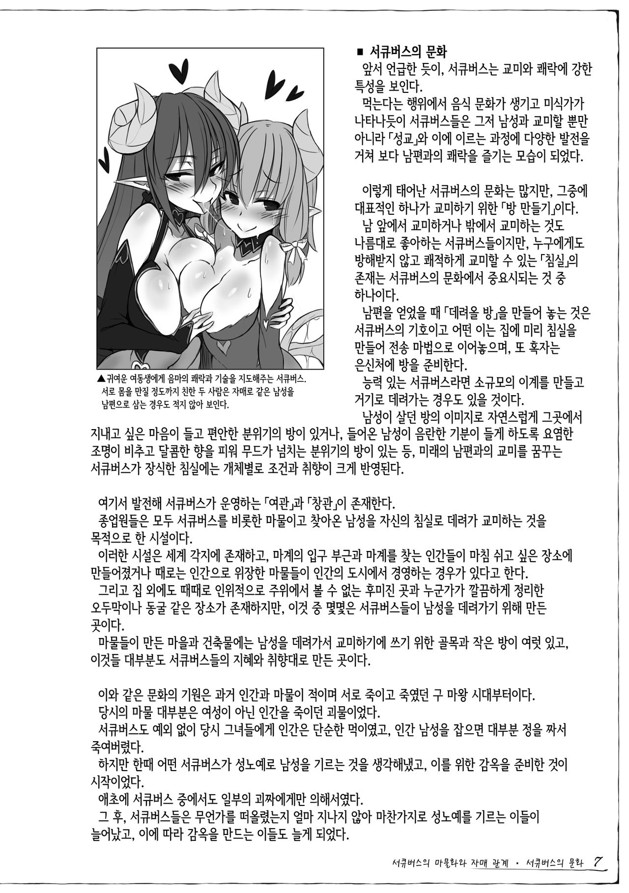Mamono Musume Zukan Chousa Kiroku Succubus Note page 8 full