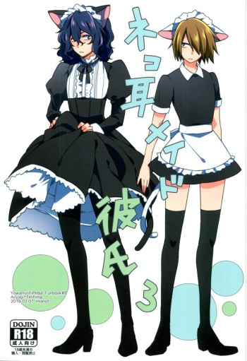 Nekomimi Maid Kareshi 3 cover