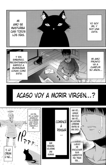 Ningen ni Natta Neko | La Gata Que Se Volvió Humana cover