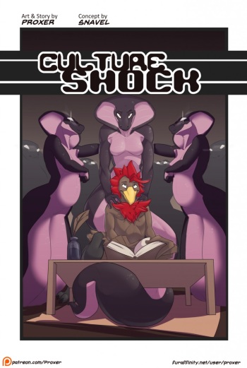 Culture Shock cover