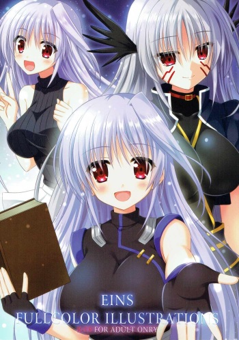 EINS FULLCOLOR ILLUSTRATIONS cover