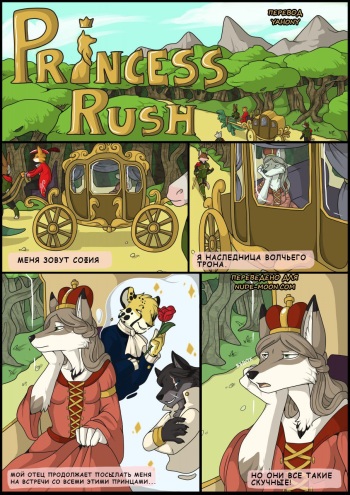 Princess Rush cover