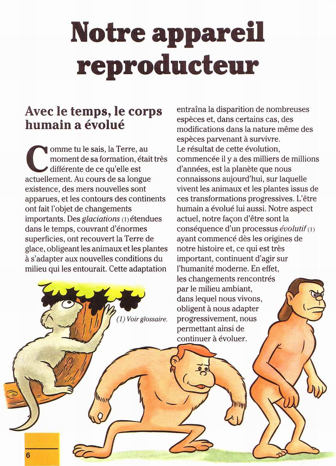 il etait un fois la vie - la naissance 1 page 6 full