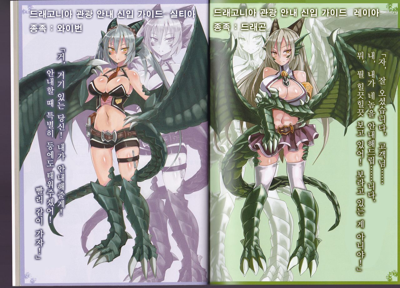 Monster Girl Encyclopedia World Guide - Side 1 ~Dragonia~ | 마물소녀도감 월드 가이드 외전 1 ~드래고니아~ page 10 full