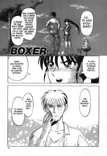 BOXER cover