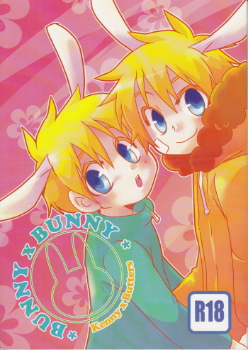 Bunny x Bunny cover
