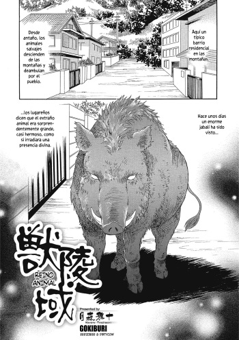 Kemono Ryouiki cover