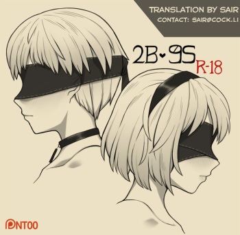2B 9S cover
