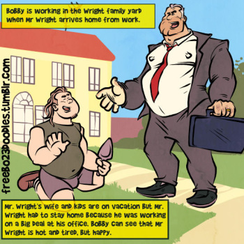 Mr.Wright secret ADVENTURES cover