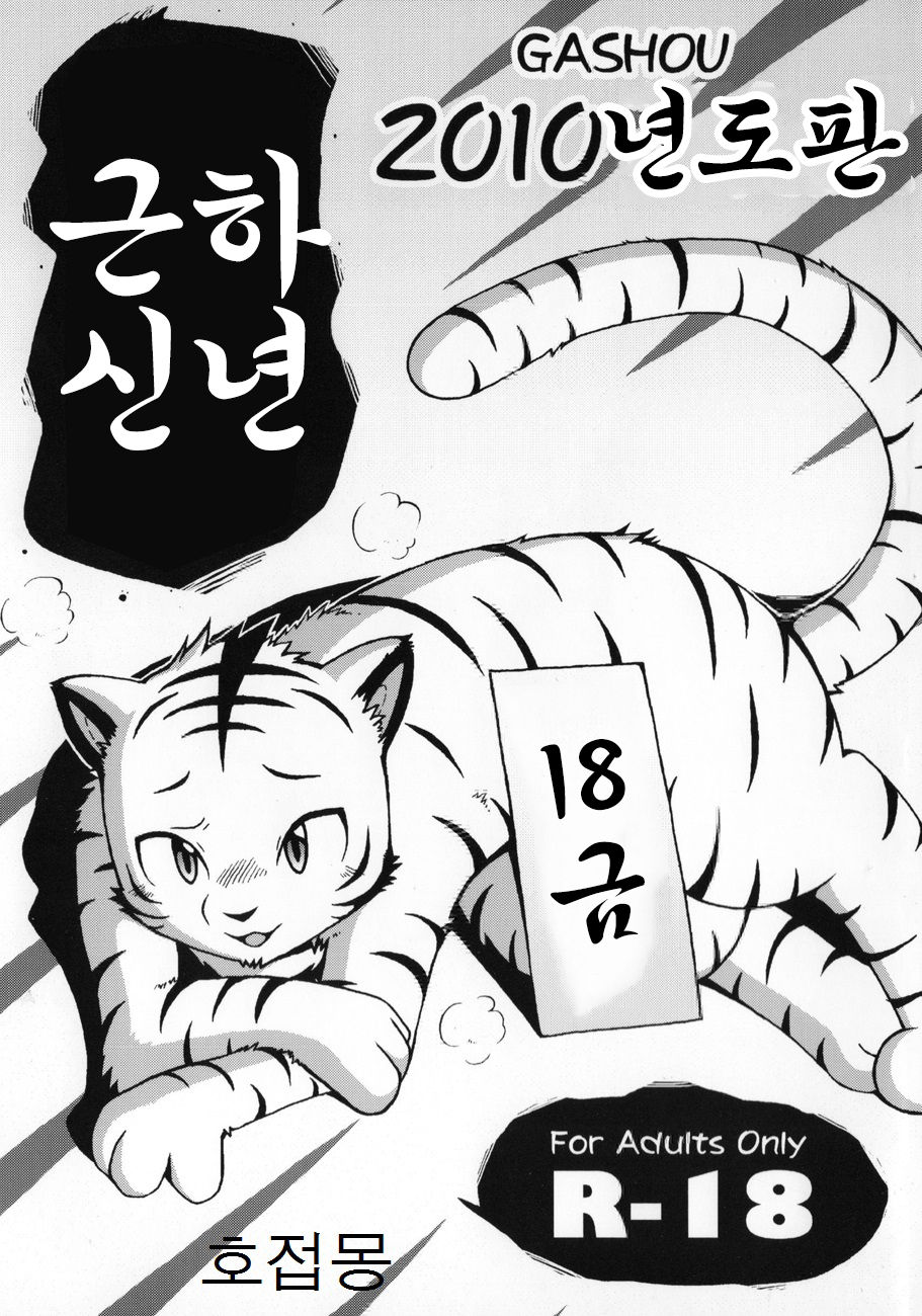 Gashou 2010 Nendoban page 1 full