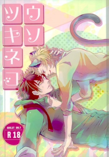 Usotsuki Neko cover