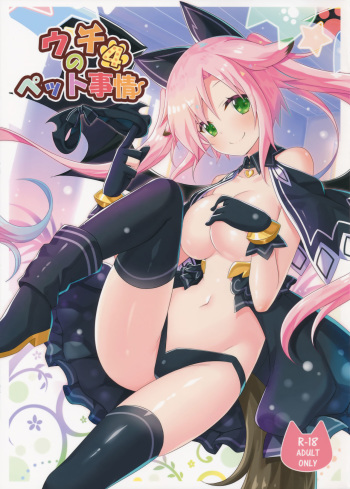 Uchi no Pet Jijou 4 cover