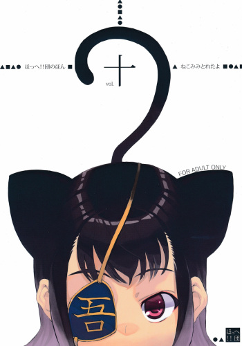 Hohhe!! Dan no Hon vol. Juu Nekomimi Toreta yo cover
