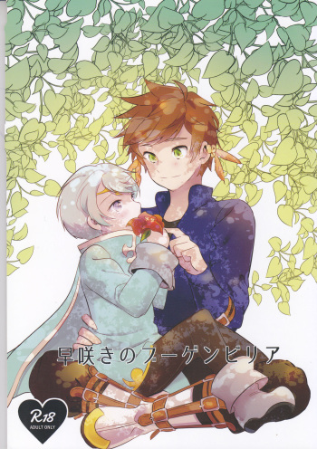 Hayazaki no Bougainvillea cover