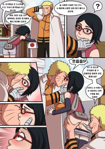 Naruto x Sarada - Colors cover
