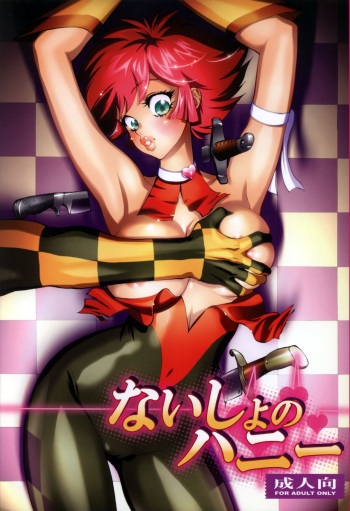 Naisho no Honey cover