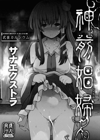 Shinzen Shoufu -Sanaextra- cover