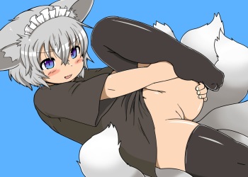 Shippo ga Ooi-san no Hon 1 cover