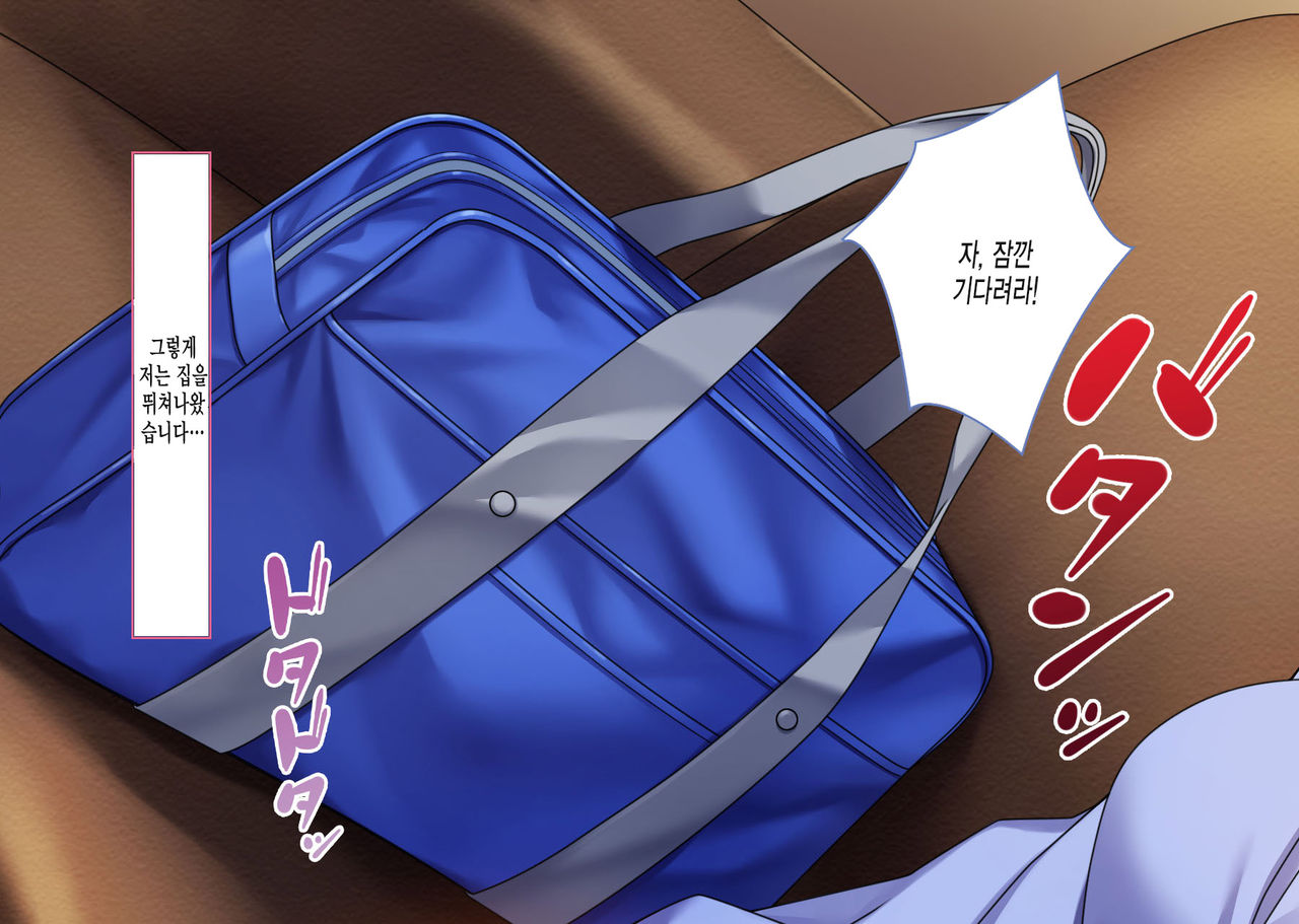 Iede Shoujo Nakadashi Kimeseku Kyousei Choukyou page 10 full