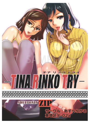 TINA RINKO TRY cover