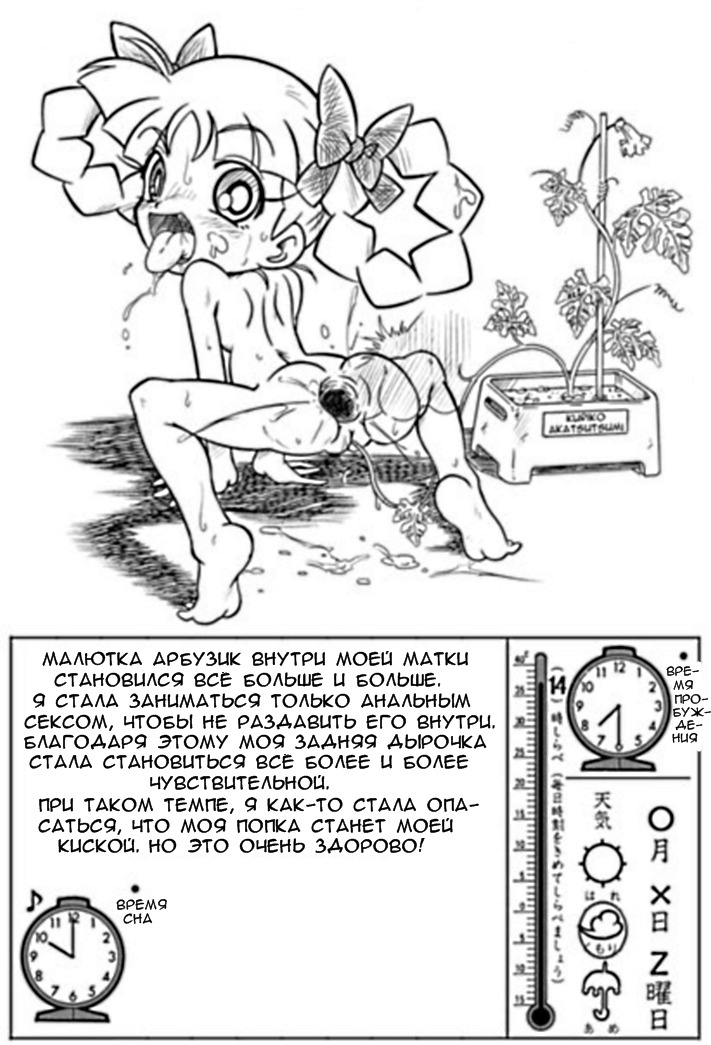 Watermelon Breeding page 2 full