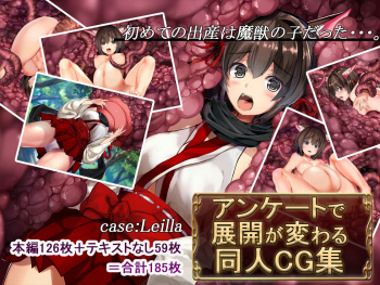 Enquete de Tenkai ga Kawaru Doujin CG Shuu ~case:Leila~ cover