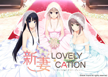 Niiduma Lovely X Cation cover