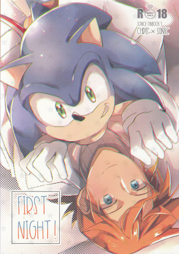FIRST NIGHT!! cover
