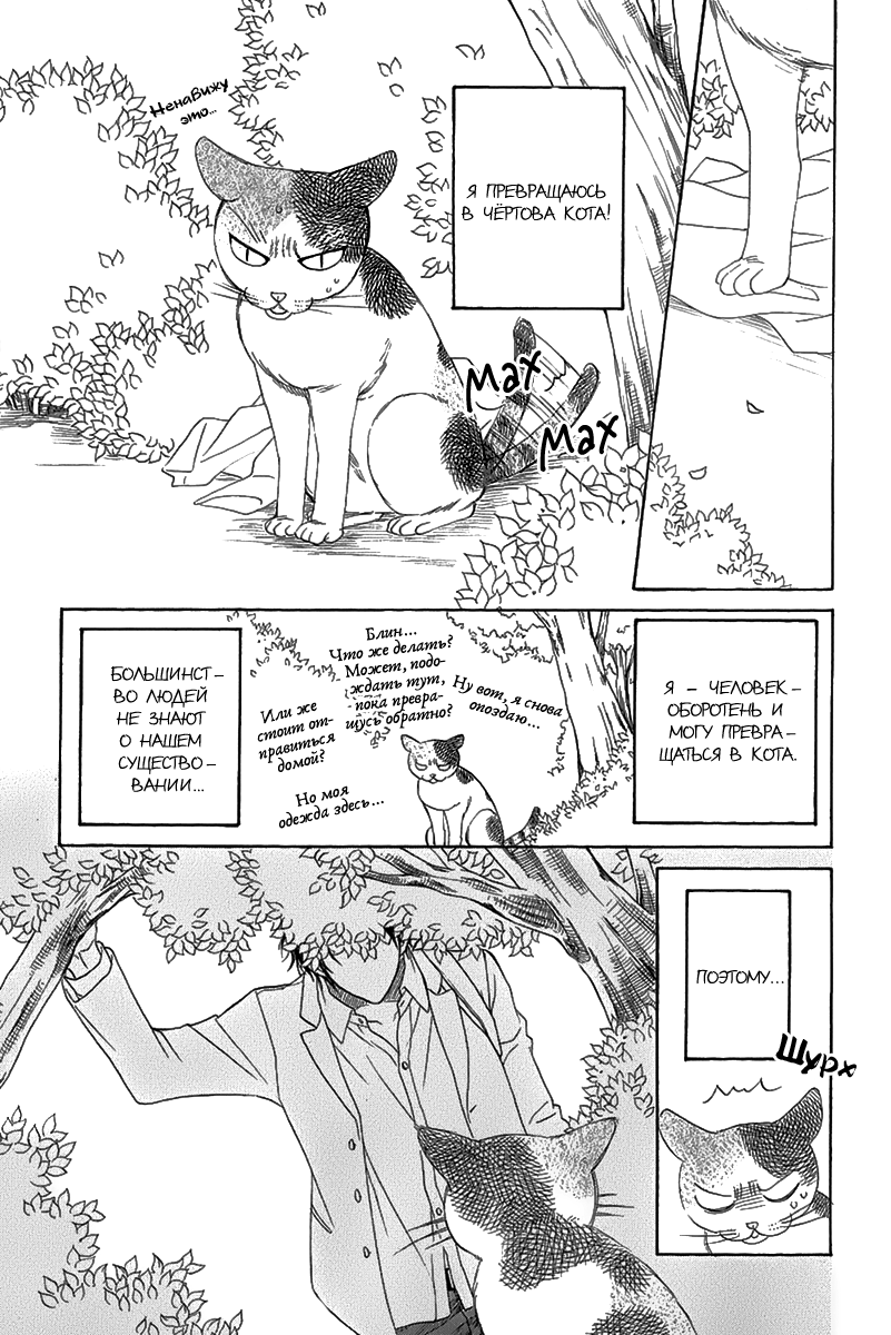 Nekoka Kareshi no Ayashikata | Правила воспитания бойфренда-котоборотня page 10 full