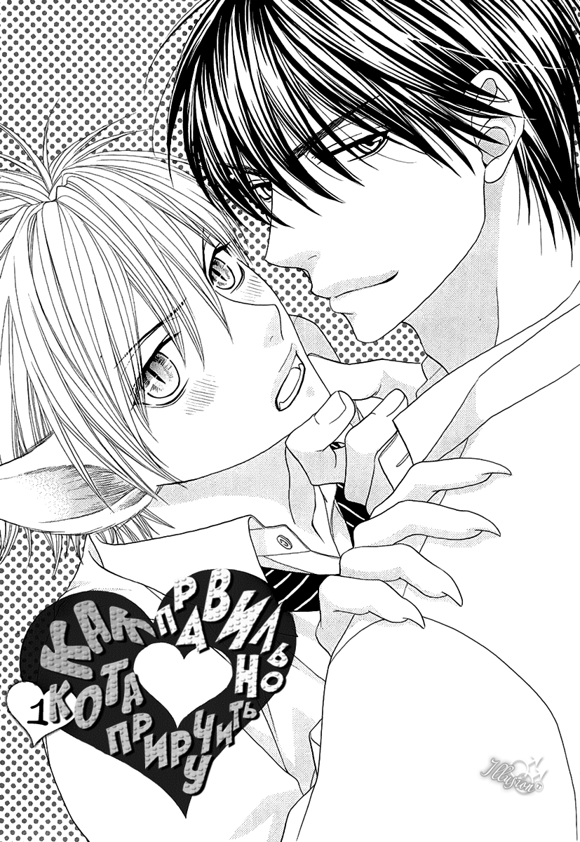 Nekoka Kareshi no Ayashikata | Правила воспитания бойфренда-котоборотня page 8 full