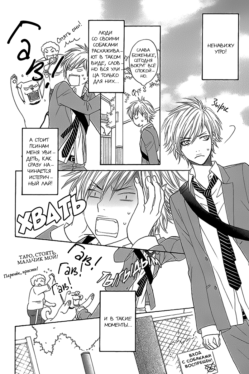 Nekoka Kareshi no Ayashikata | Правила воспитания бойфренда-котоборотня page 9 full