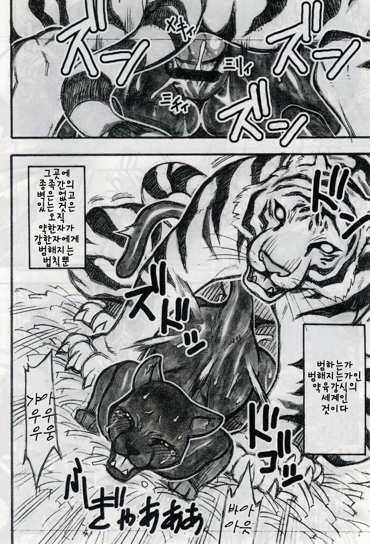 Jaku Niku Goukan | 약육강간 page 5 full