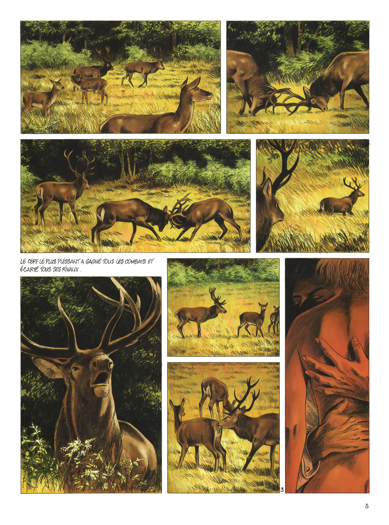 Le dernier brame page 7 full