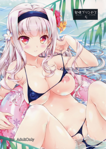 Hatsujou Princess 5 cover