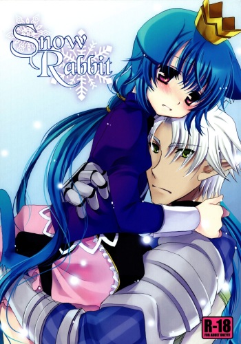 Snow Rabbit cover