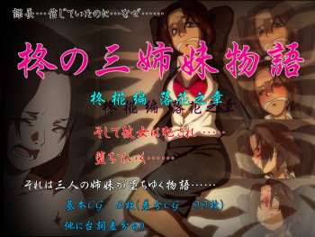 Hiiragi no Sanshimai Monogatari Hiiragi Momiji Hen - Rakka no Shou cover