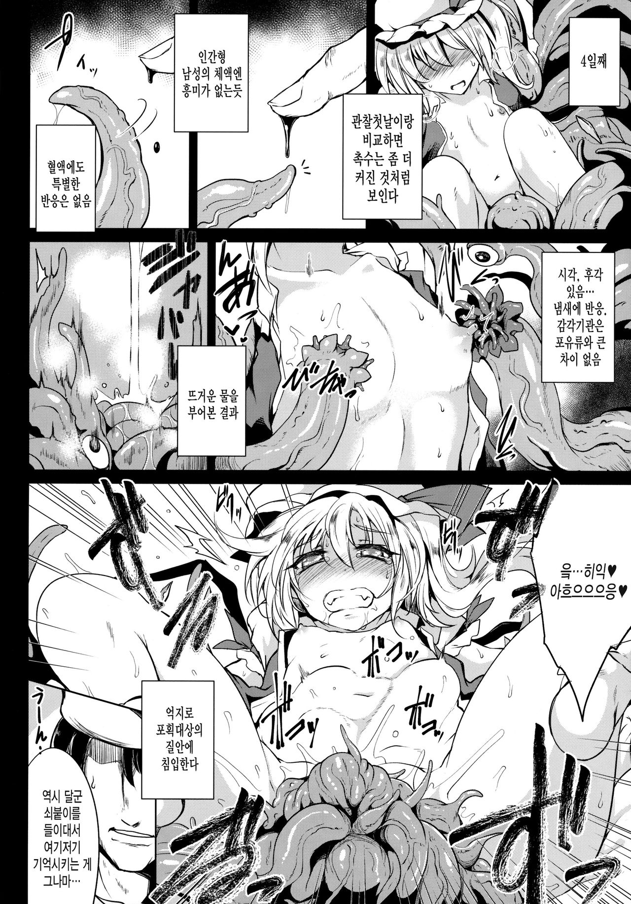 Gensou Enkou -Flandre- Shoku page 9 full
