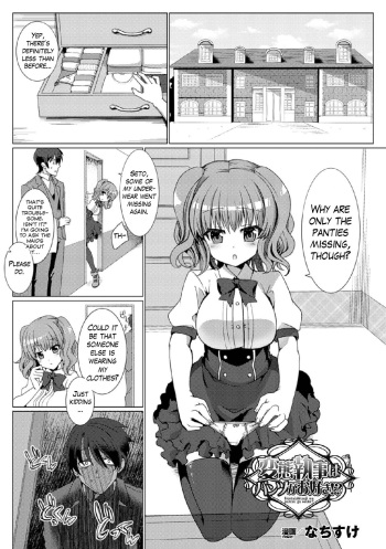 The Perverted Butler Loves Panties!? cover