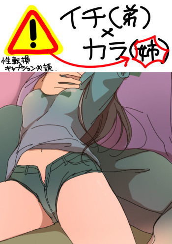 一（♂）×カラ（♀） cover
