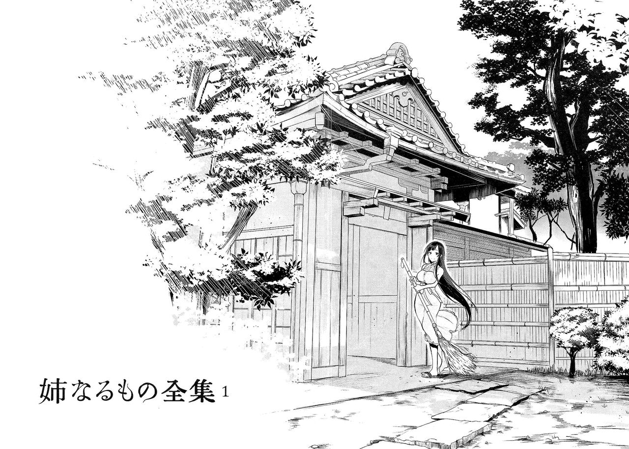 Ane Naru Mono Zenshuu 1 page 3 full