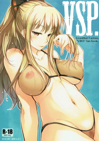 VSP. cover