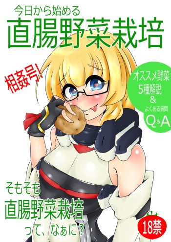 直腸野菜栽培解説本 cover