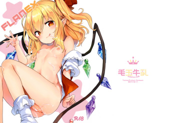FLANEX cover