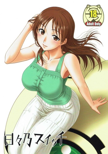 Hibino Switch cover