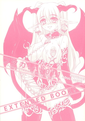 Futakare 2011 EXTENDED BOOK! cover