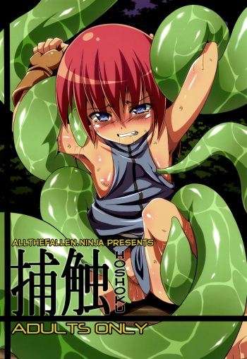 Hoshoku cover