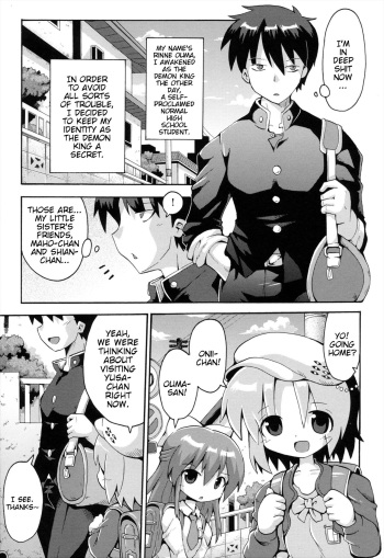 Uchi no Imouto ga Yuusha ni Mezameta Ken ni Tsuite ~Kakusei no Shoujotachi~ | The Case When My Little Sister Became the Hero ~the Awakened Girls~ cover