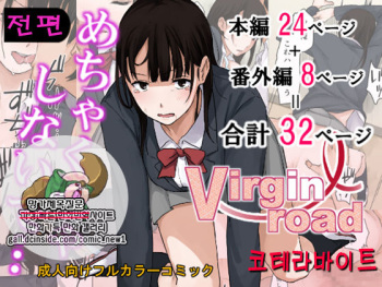 Virgin Road cover