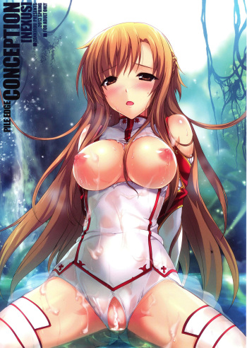 PILE EDGE CONCEPTION cover