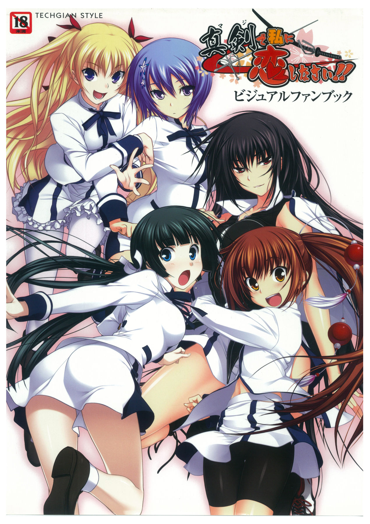 Maji de Watashi ni Koi Shinasai Visual Fan Book page 1 full